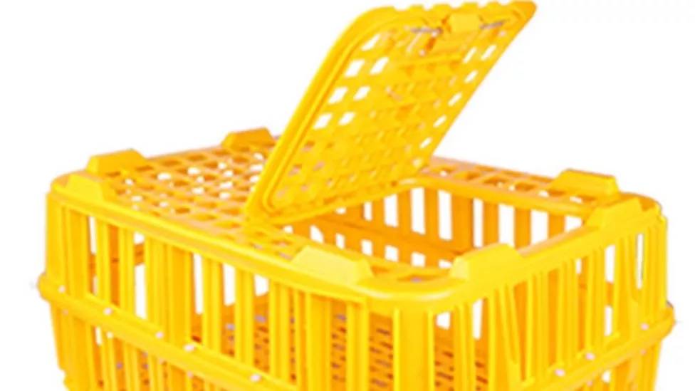 سبد پلاستیکی مرغ زنده چیست؟ سبد پلاستیکی مرغ زنده چیست؟